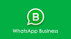 whatsapp business api